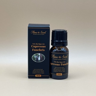 Tinh Dầu Ngọc Am (10ml / 50ml)