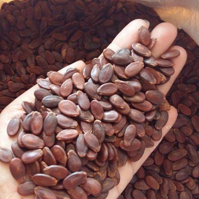 Hạt dưa chắc thịt giá sỉ 250g / 500g