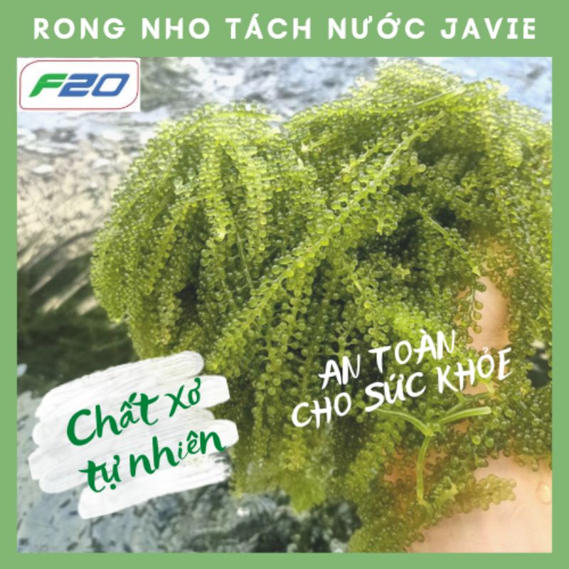 Rong nho tách nước gói 30gr. Nở ra gấp 3 lần rong nho tươi