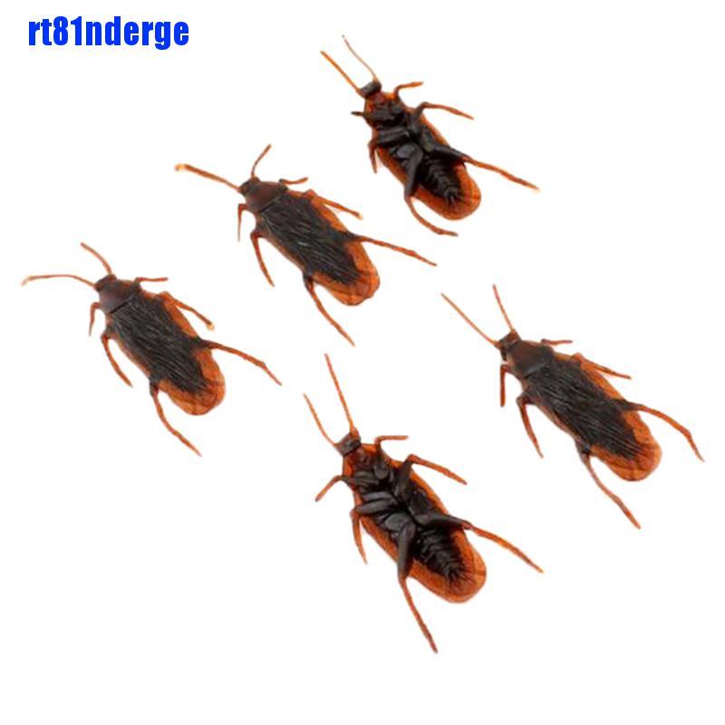 Set 10 Con Gián Giả Bằng Cao Su Dùng Để Trang Trí