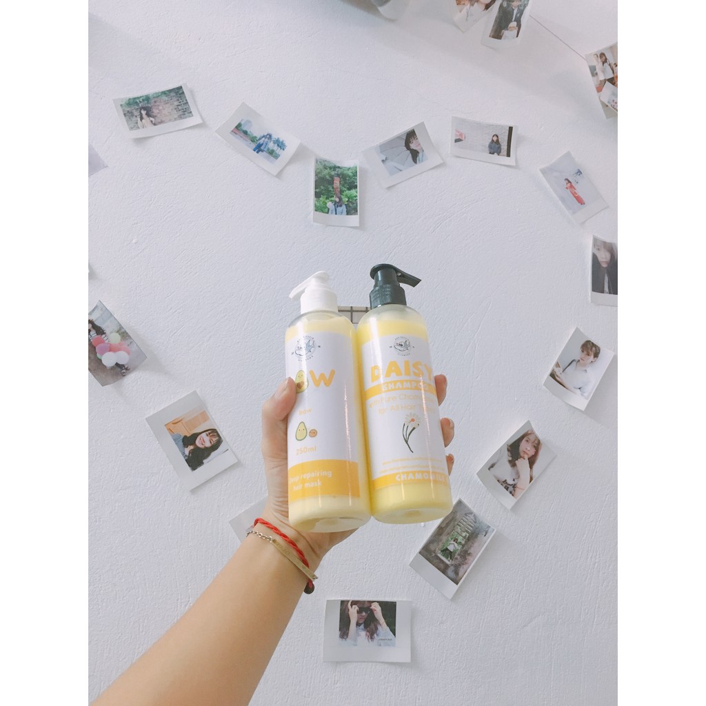 Ủ TÓC BOW Từ lá trà và thảo mộc [Tặng băng đô hoặc cột tóc hoặc kẹp tóc càng cua] | BigBuy360 - bigbuy360.vn