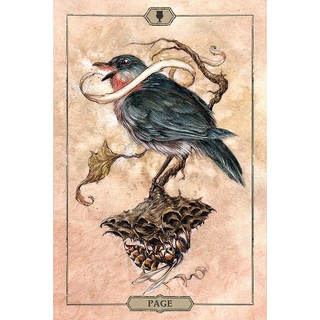 Bộ Bài Hush Tarot (Guu Tarot Shop)