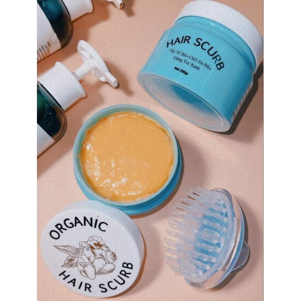 Tẩy Tế Bào Chết Da Đầu Gừng Trà Xanh Sạch Dầu,Sạch Gàu Nấm,Kiểm Soát Dầu