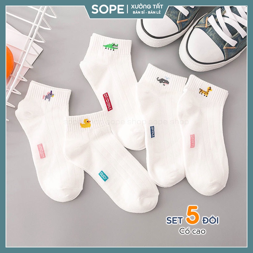 Tất vớ cổ ngắn trắng họa tiết hoạt hình chất liệu vải co giãn bốn chiều - Sope Shop