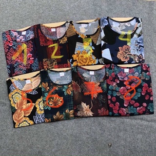 Combo 2 bộ lanh ngố