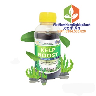 500ml - kelp boost – phân bón hữu cơ cao cấp cho cây trồng 500ml