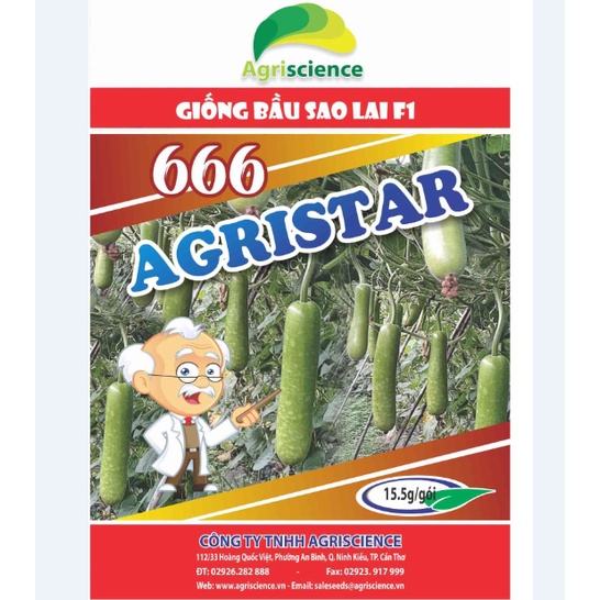 Hạt Giống Bầu Sao AGRISTAR 666 - (3gr (20 hạt))