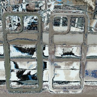 Ốp lưng Maxshield Google Pixel 4