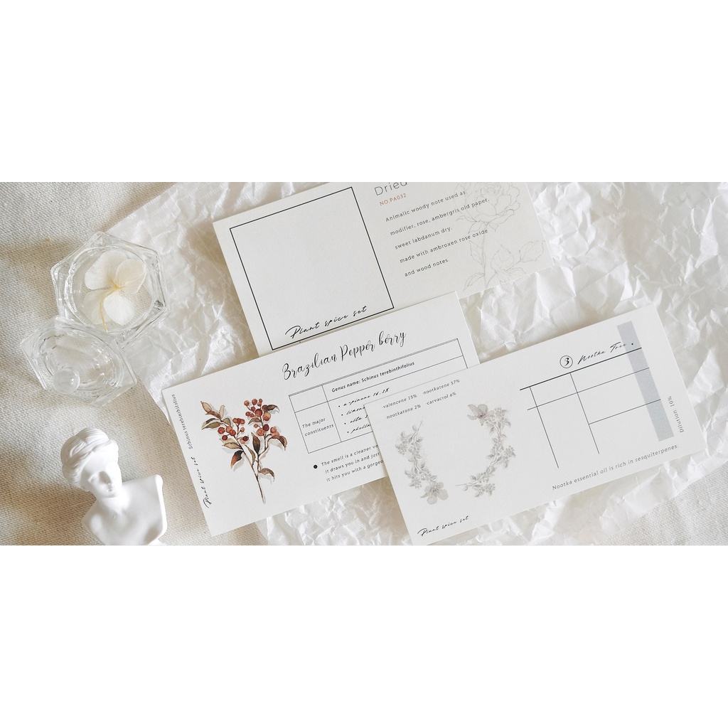 Meohime 𓃠 Set note hãng Freckles tea chủ đề hoa cỏ