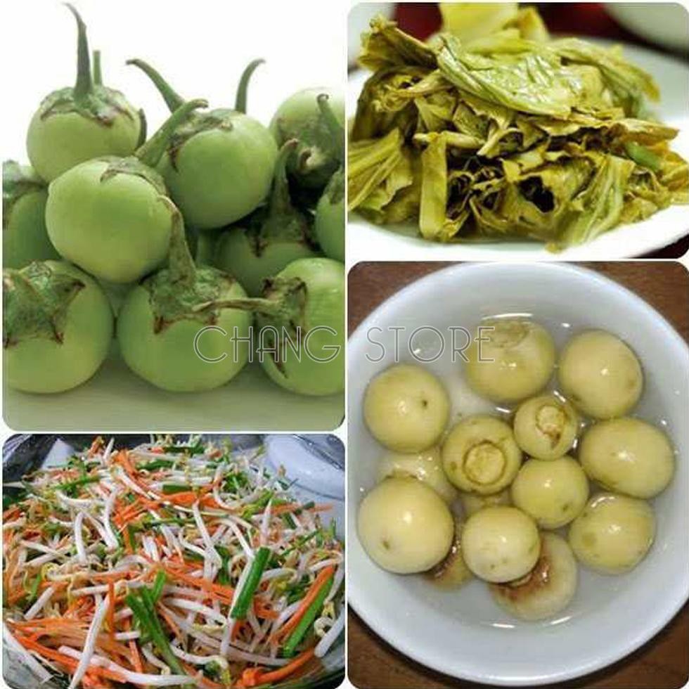 Hộp Muối Dưa Cà Việt Nhật An Toàn Tiện Dụng