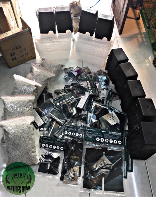 Pad nhiệt - tấm sưởi ấm cho trăn-rắn-gecko