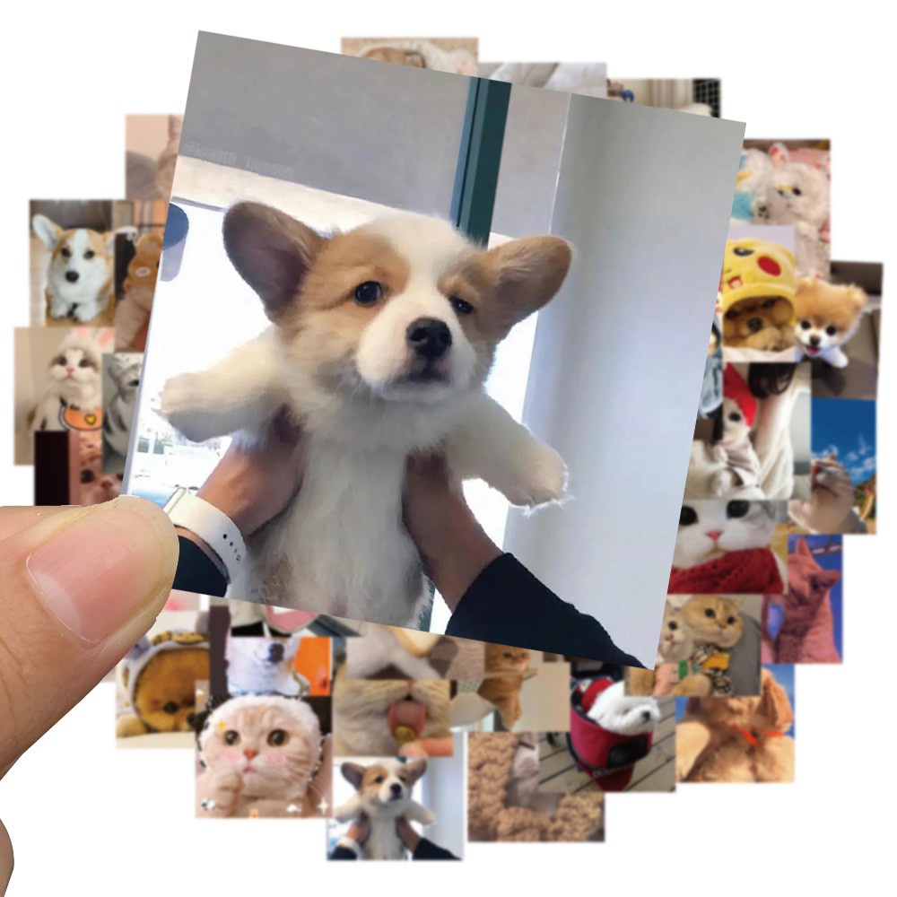 Bộ 48 miếng dán trang trí hình động vật dễ thương