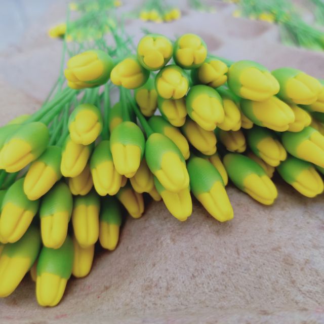Nụ mai vàng
