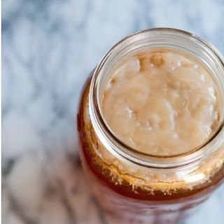 Scoby - nấm thủy sâm, làm dấm trà Kombucha