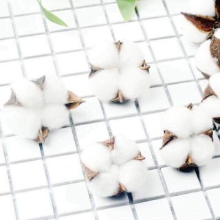 phụ kiện chụp ảnh quả bông