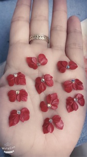 Hoa bột dán móng chân