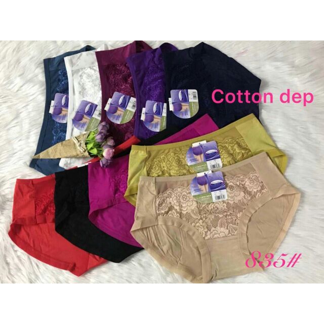Combo 10q chip cotton cao cấp