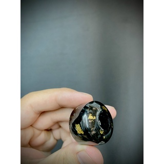 Gù Trung Carbon Forget Màu Đen (Vảy Gold)