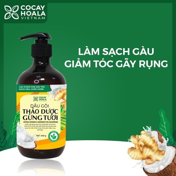 Dầu gội hữu cơ gừng dừa Cocayhoala thảo dược cao cấp cỏ cây hoa lá đánh bay gàu giảm ngứa dung tích 440g/chai | BigBuy360 - bigbuy360.vn