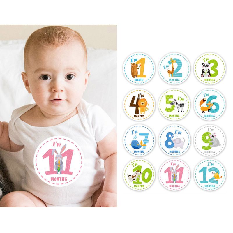 Bộ 12 Miếng Dán Hình Động Vật Phong Cách Boho Cho Bé Sơ Sinh