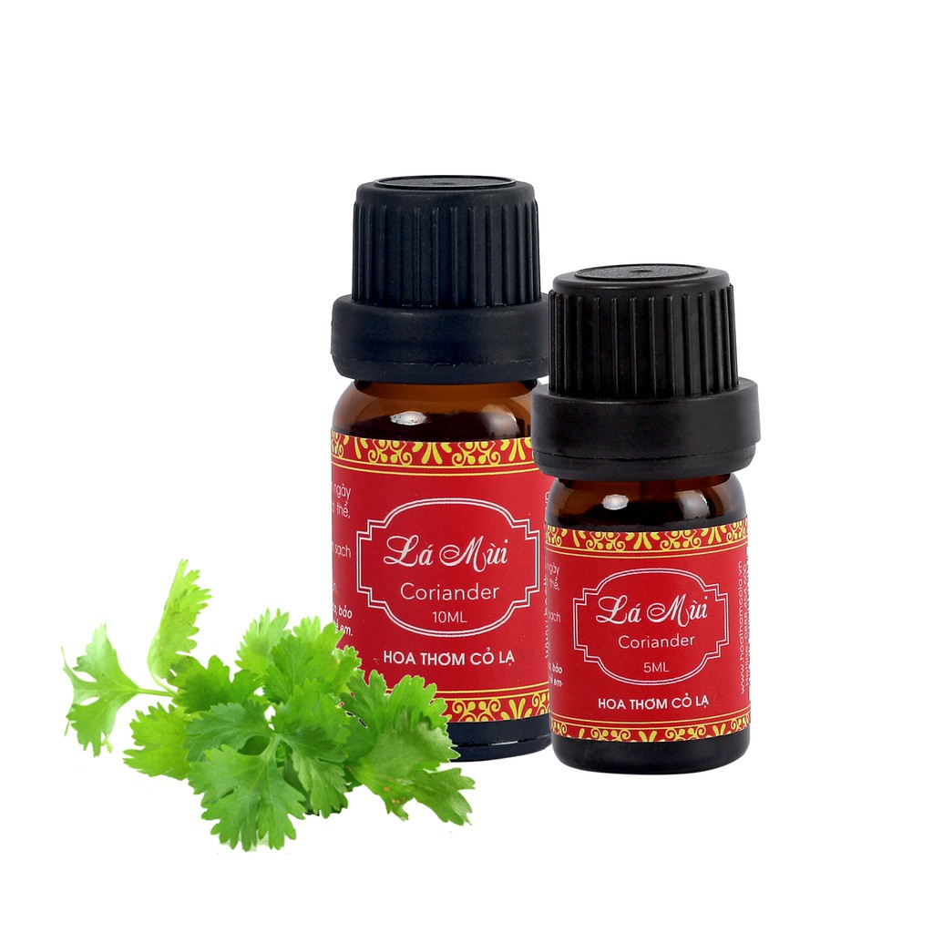 Tinh Dầu Mùi Già (Lá Mùi) - Coriander Essential Oil - Hoa Thơm Cỏ Lạ