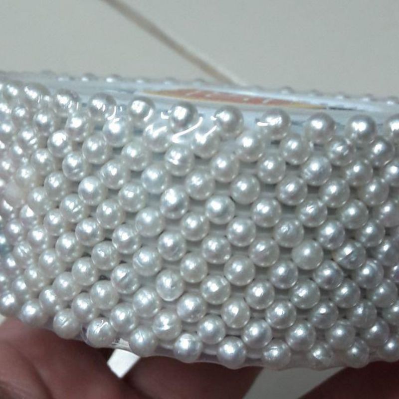 1 lốc kim định vị, kim cúc