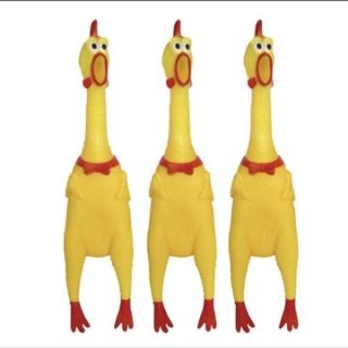 GÀ A LỬ BÓP KÊU HOT HÍT