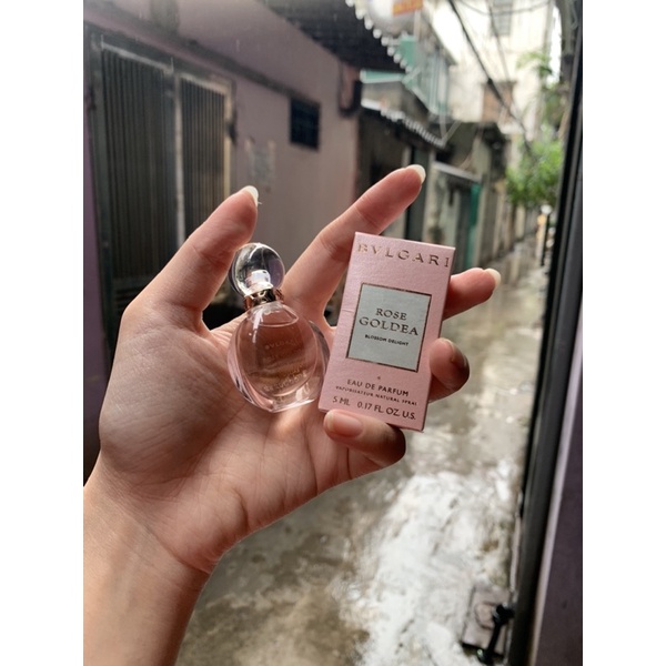 Nước hoa mini 5ml BVLGARI ROSE GOLDEA