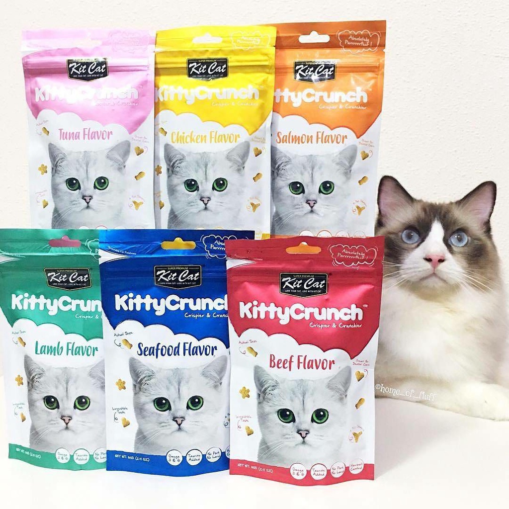 Bánh Thưởng Snack Giòn KITTY CRUNCH KIT CAT Ăn Vặt Cho Mèo - Gói 60gram
