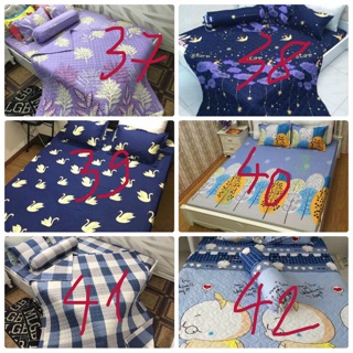 Bộ ga gối cotton poly