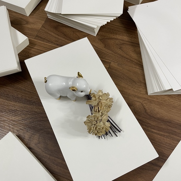 Flashcard  - 100 Thẻ trắng 15x30cm chuẩn giấy Ivory 350