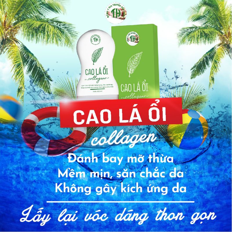 Lăn Tan Mỡ Cao Lá Ổi Tiến Hạnh - Cao Lá Ổi Chính Hãng