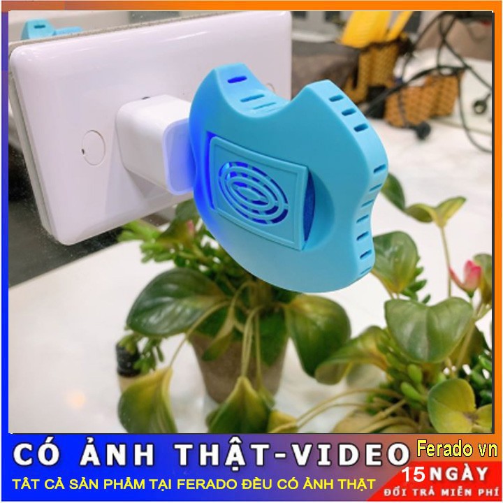 đèn xông tinh dầu khô đuổi muỗi kiêm đèn ngủ