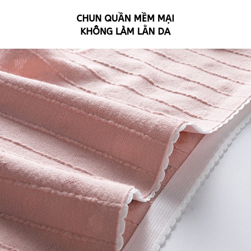 Original Quần Lót Seamless Panties Nữ Đáy Viscose Bikini Thông Hơi Thắt Lưng Thun Cao Cấp ZK GR863 II Nội Địa Trung Nam