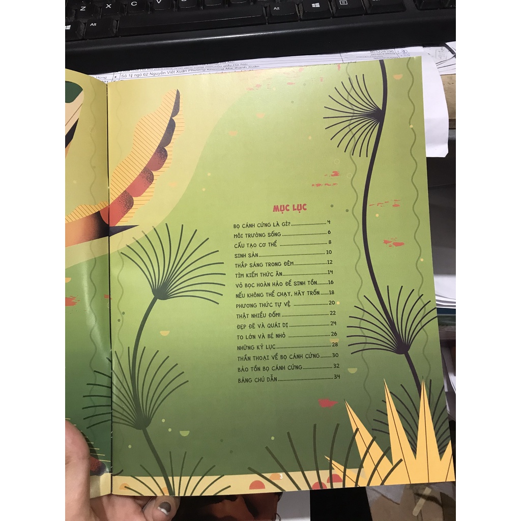 Sách - Combo Những điều chưa biết về  ( bọ cánh cứng + Bạch tuộc + Ếch + Khỉ + Mèo + Cá Mập )