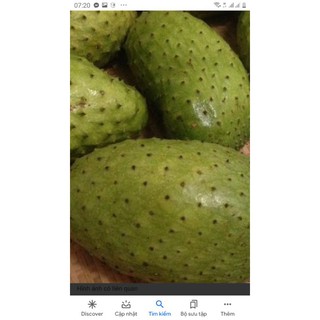 Mảng cầu xiêm