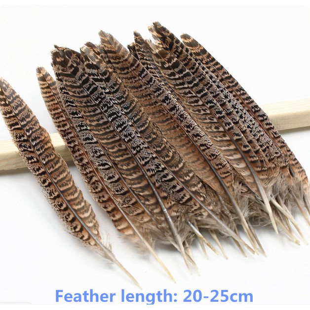 Bộ 5 Lông Vũ Tự Nhiên 5cm - 30cm Tự Nhiên Dùng Trang Trí Nón Cưới