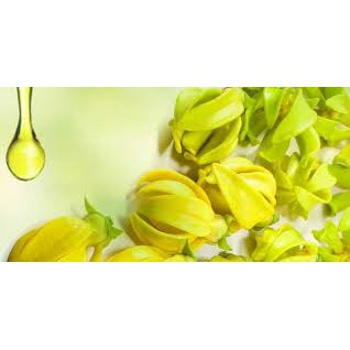 Tinh dầu thơm treo xe hương Ngọc Lan Tây