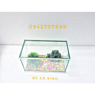set bể cá mini 25cm -30cm + đèn led ( tặng phụ kiện)