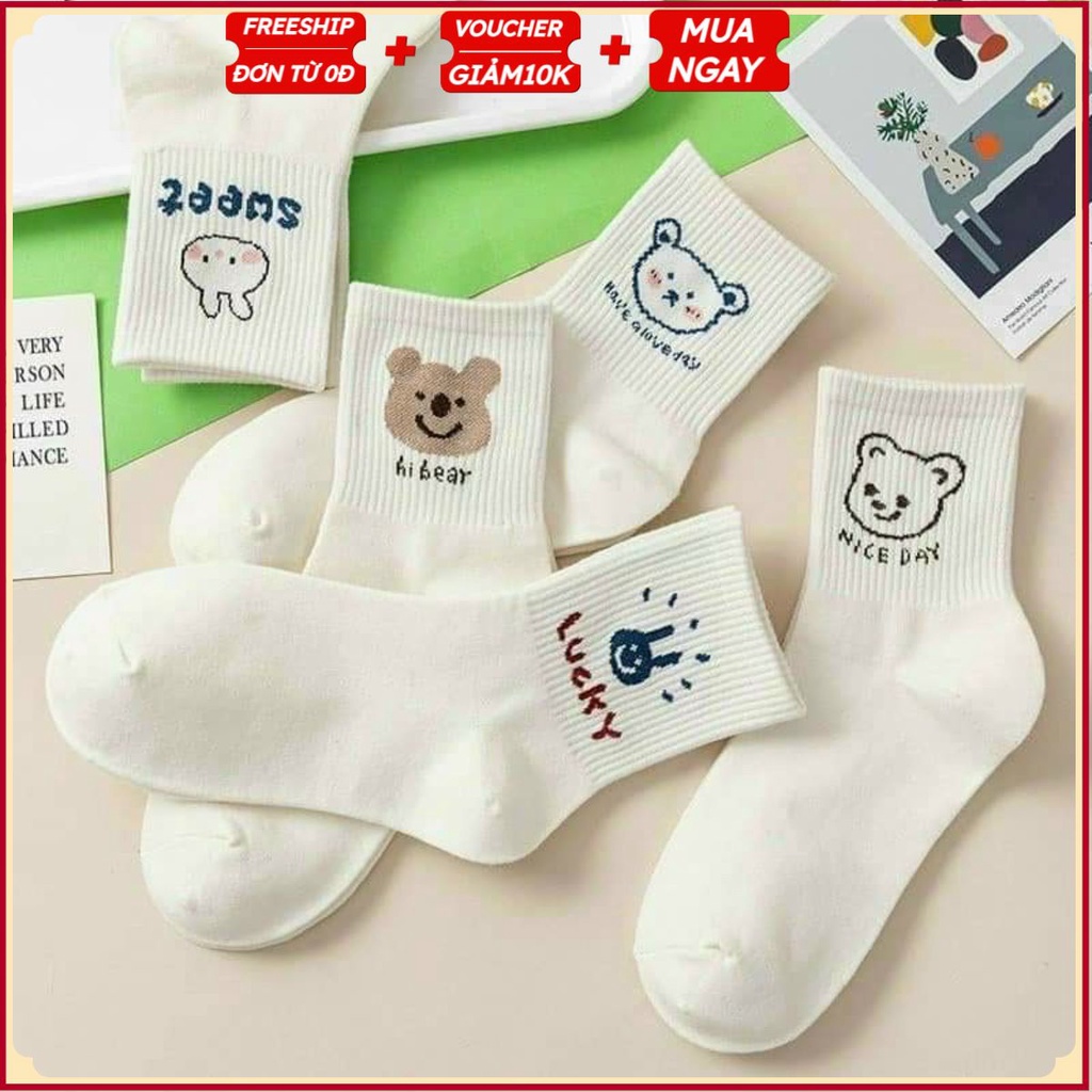 PVN34316 Set 5 Đôi Tất Vớ Cổ Cao Gấu Thỏ Trắng Cute Dễ Thương T2