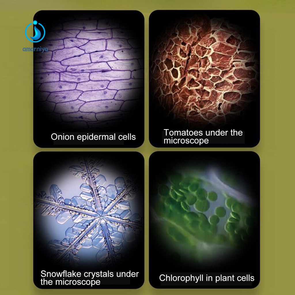 Kính HiểN Vi Mini 60-120X KèM Phụ KiệN Chuyên DụNg