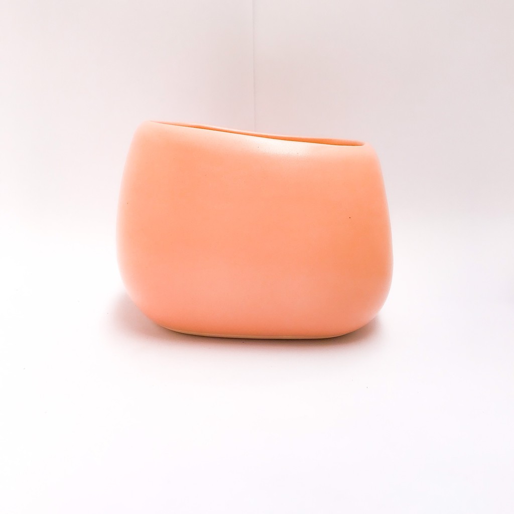 CHẬU CASA TRỒNG CÂY PHONG THỦY