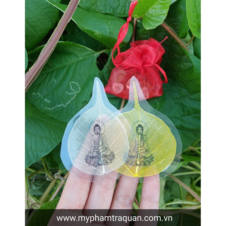 Lá bồ đề cầu bình an | BigBuy360 - bigbuy360.vn