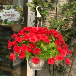 Hoa giấy lụa bộ chai