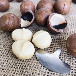 500G Hạt MACCA Úc size KHỔNG LỒ