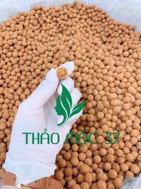 Kẹo mầm lúa mạch TM37 tăng gấp 20 lần sp thông thường | BigBuy360 - bigbuy360.vn