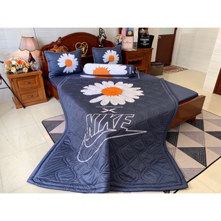 Mền/chăn thun lạnh 5D (1m65x2m)