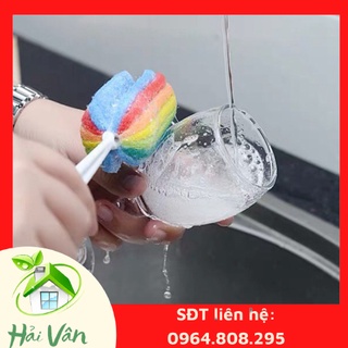 CÂY CỌ CỐC CHÉN 7 MÀU