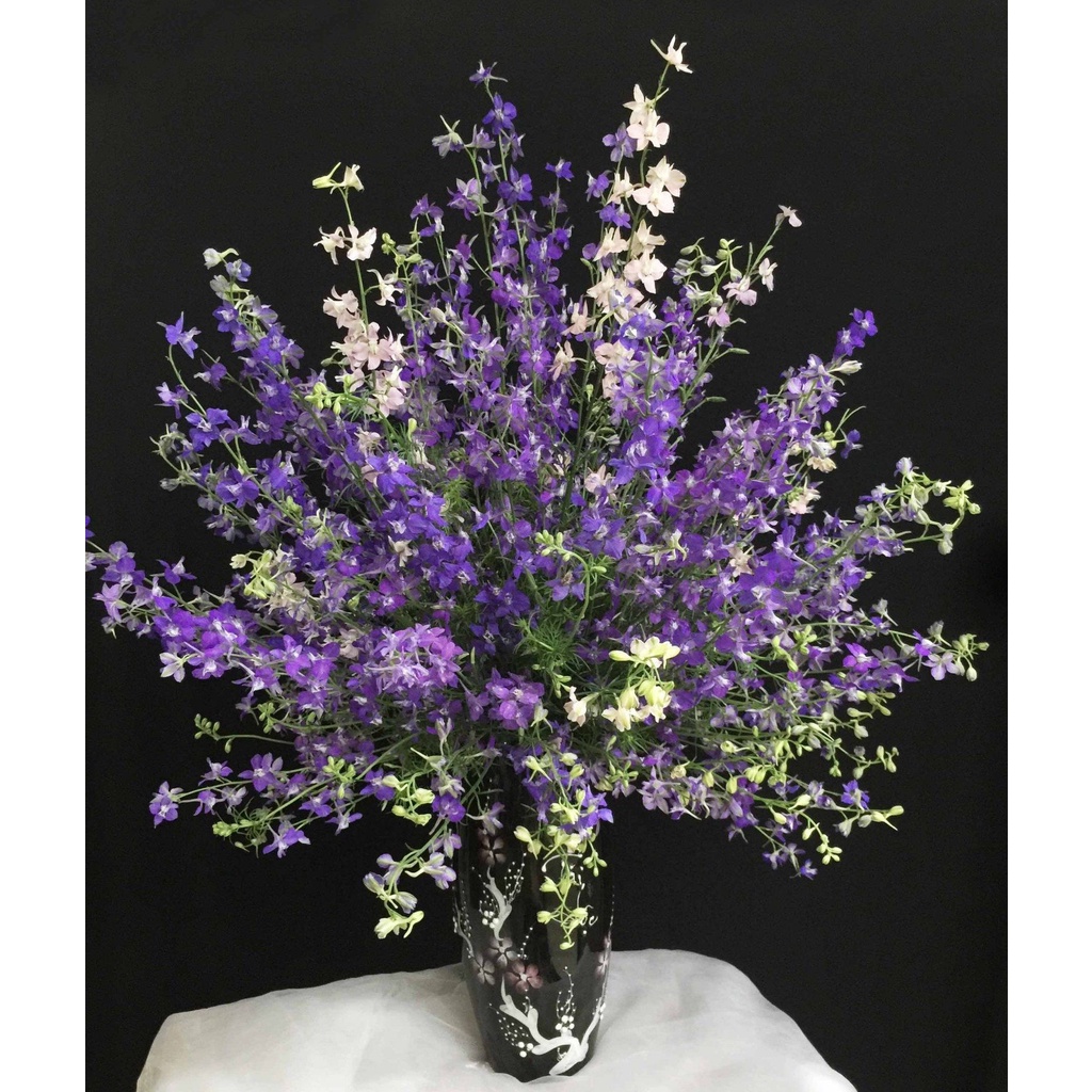 500 Hạt giống hoa Violet tím truyền thống Việt Nam