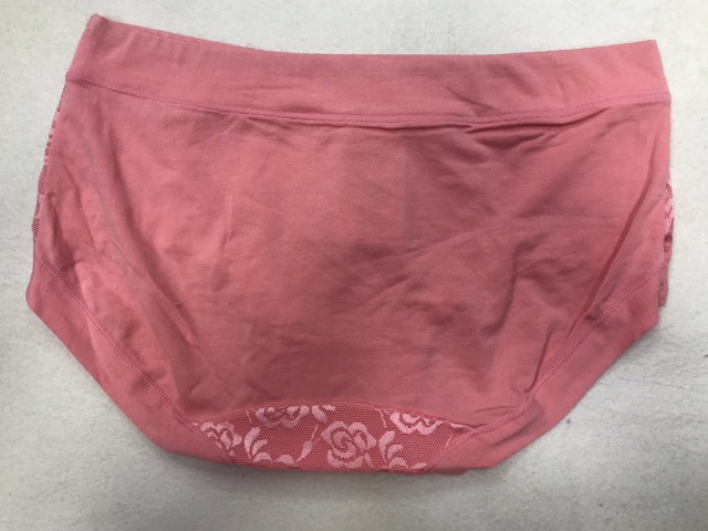 10 Quần lót nữ (1738) cotton hàng Việt Nam cao cấp